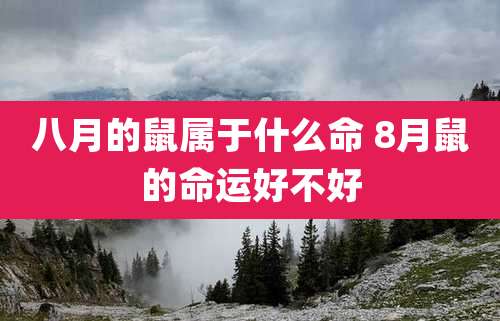 八月的鼠属于什么命 8月鼠的命运好不好