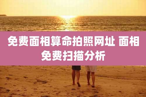 免费面相算命拍照网址 面相免费扫描分析