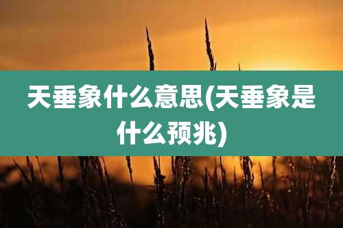 天垂象什么意思(天垂象是什么预兆)