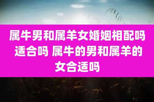 属牛男和属羊女婚姻相配吗 适合吗 属牛的男和属羊的女合适吗