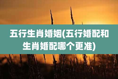 五行生肖婚姻(五行婚配和生肖婚配哪个更准)