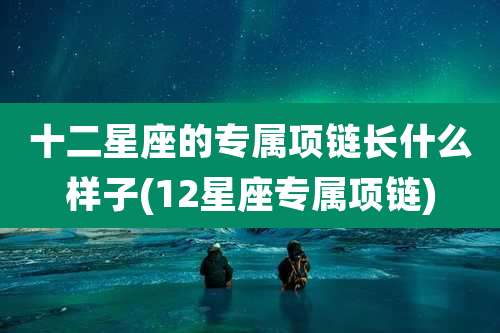 十二星座的专属项链长什么样子(12星座专属项链)