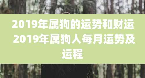 2019年属狗的运势和财运 2019年属狗人每月运势及运程