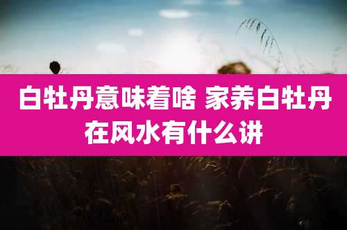 白牡丹意味着啥 家养白牡丹在风水有什么讲