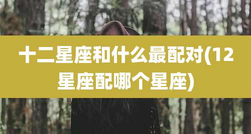 十二星座和什么最配对(12星座配哪个星座)