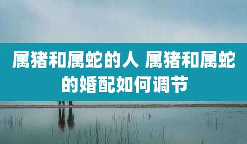 属猪和属蛇的人 属猪和属蛇的婚配如何调节