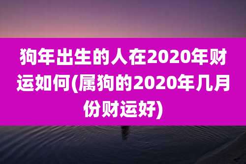 狗年出生的人在2020年财运如何(属狗的2020年几月份财运好)