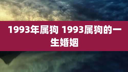 1993年属狗 1993属狗的一生婚姻