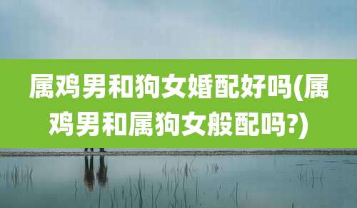 属鸡男和狗女婚配好吗(属鸡男和属狗女般配吗?)