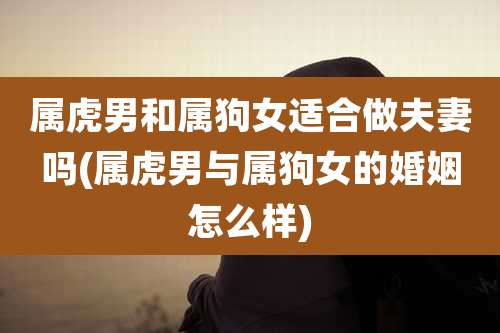 属虎男和属狗女适合做夫妻吗(属虎男与属狗女的婚姻怎么样)