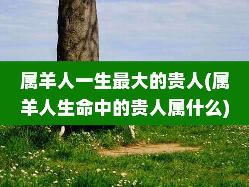 属羊人一生最大的贵人(属羊人生命中的贵人属什么)