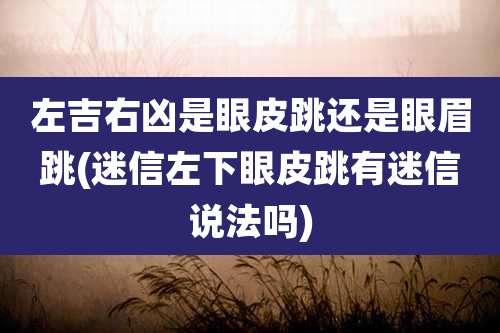 左吉右凶是眼皮跳还是眼眉跳(迷信左下眼皮跳有迷信说法吗)