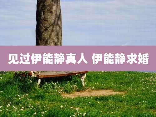见过伊能静真人 伊能静求婚