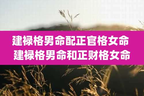 建禄格男命配正官格女命 建禄格男命和正财格女命