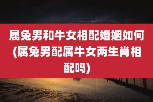 属兔男和牛女相配婚姻如何(属兔男配属牛女两生肖相配吗)