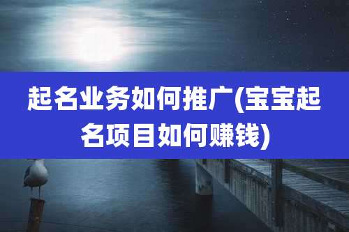 起名业务如何推广(宝宝起名项目如何赚钱)