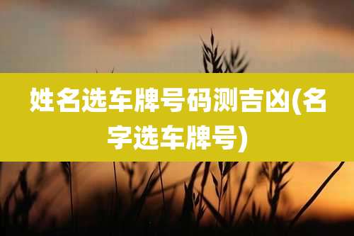 姓名选车牌号码测吉凶(名字选车牌号)