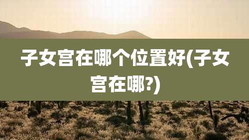 子女宫在哪个位置好(子女宫在哪?)