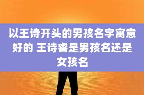 以王诗开头的男孩名字寓意好的 王诗睿是男孩名还是女孩名