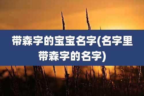 带森字的宝宝名字(名字里带森字的名字)
