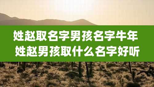 姓赵取名字男孩名字牛年 姓赵男孩取什么名字好听