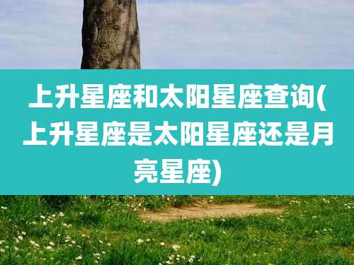上升星座和太阳星座查询(上升星座是太阳星座还是月亮星座)