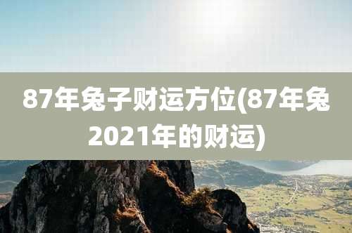 87年兔子财运方位(87年兔2021年的财运)