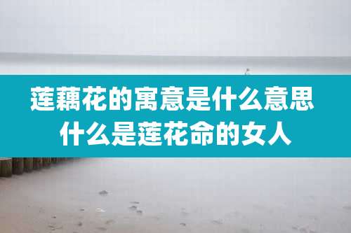 莲藕花的寓意是什么意思 什么是莲花命的女人