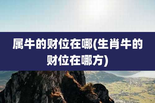 属牛的财位在哪(生肖牛的财位在哪方)