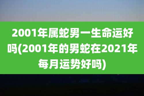 2001年属蛇男一生命运好吗(2001年的男蛇在2021年每月运势好吗)