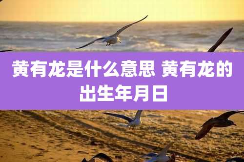 黄有龙是什么意思 黄有龙的出生年月日