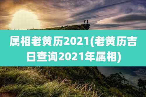 属相老黄历2021(老黄历吉日查询2021年属相)