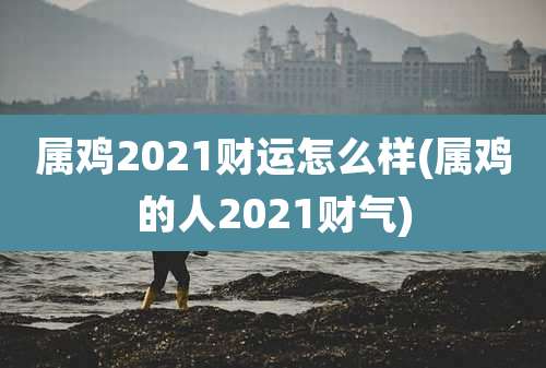 属鸡2021财运怎么样(属鸡的人2021财气)