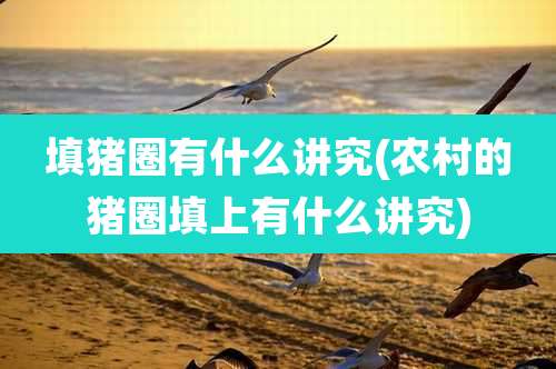 填猪圈有什么讲究(农村的猪圈填上有什么讲究)