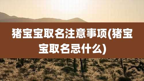 猪宝宝取名注意事项(猪宝宝取名忌什么)