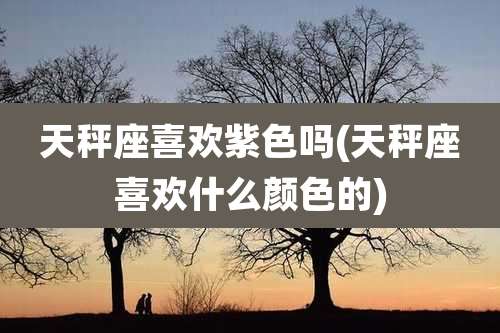 天秤座喜欢紫色吗(天秤座喜欢什么颜色的)