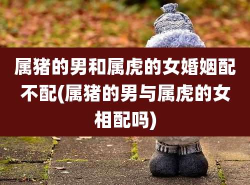 属猪的男和属虎的女婚姻配不配(属猪的男与属虎的女相配吗)