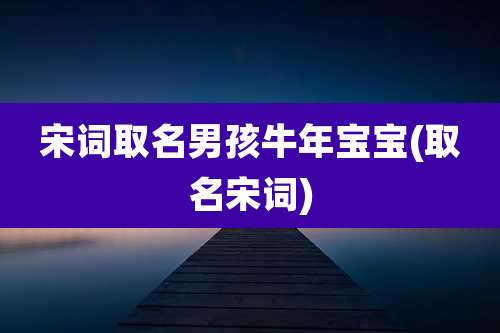 宋词取名男孩牛年宝宝(取名宋词)