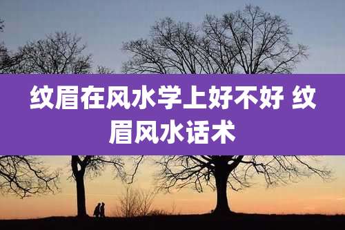 纹眉在风水学上好不好 纹眉风水话术