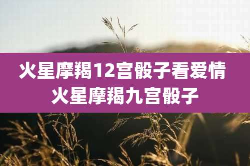 火星摩羯12宫骰子看爱情 火星摩羯九宫骰子