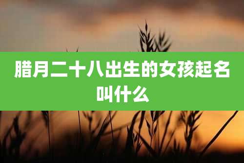 腊月二十八出生的女孩起名叫什么