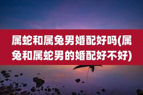 属蛇和属兔男婚配好吗(属兔和属蛇男的婚配好不好)