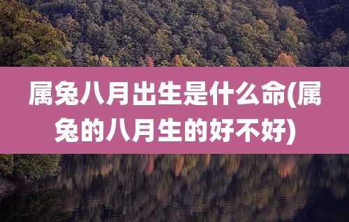 属兔八月出生是什么命(属兔的八月生的好不好)