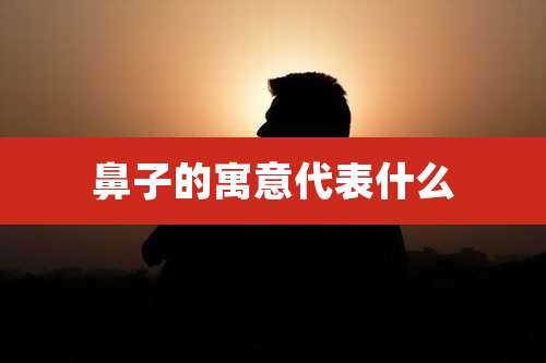 鼻子的寓意代表什么