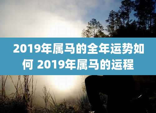 2019年属马的全年运势如何 2019年属马的运程