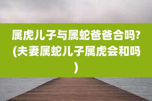属虎儿子与属蛇爸爸合吗?(夫妻属蛇儿子属虎会和吗)