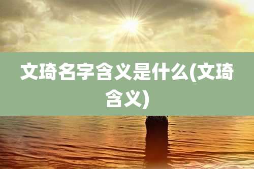 文琦名字含义是什么(文琦含义)