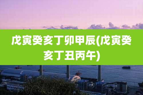 戊寅癸亥丁卯甲辰(戊寅癸亥丁丑丙午)