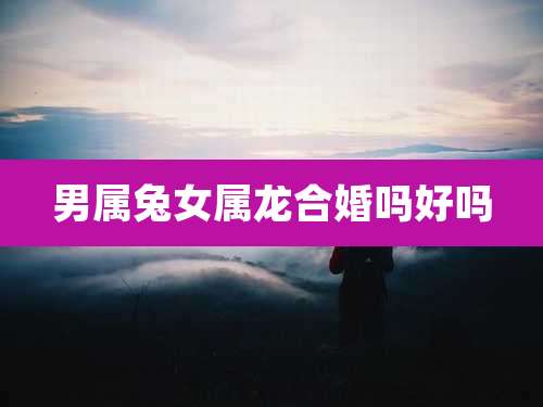 男属兔女属龙合婚吗好吗