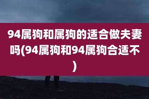 94属狗和属狗的适合做夫妻吗(94属狗和94属狗合适不)